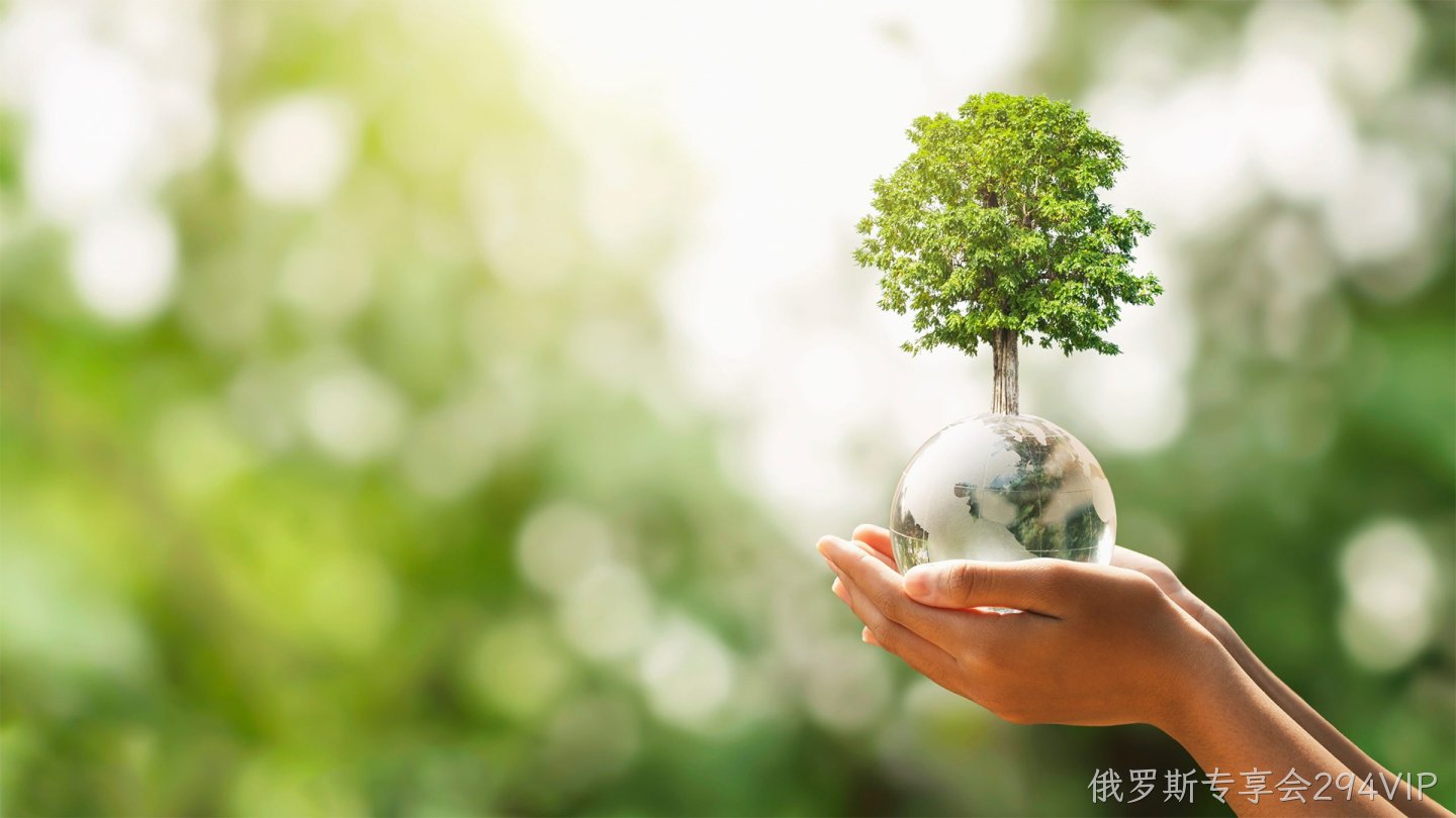 沧州俄罗斯专享会294VIP环保设备有限公司